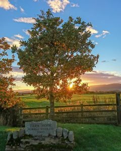 Tarn Moor